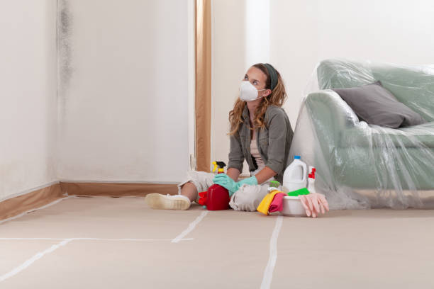Reliable Mold Testing contractor in Yale, MI by WQB Mold Removal